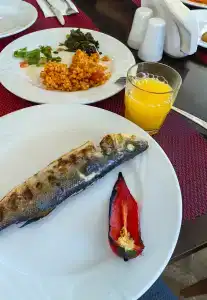 Asteria Bloom Side - 47