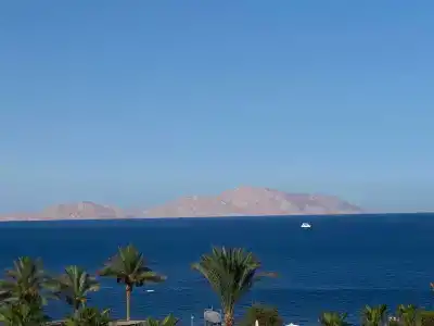 Club Reef Resort & Spa - 26