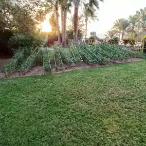 Tamra Beach Resort - 41