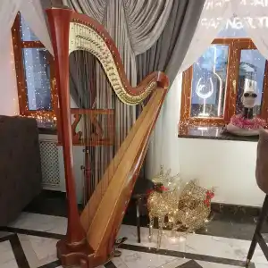 Butik-otel Magic harp - 1