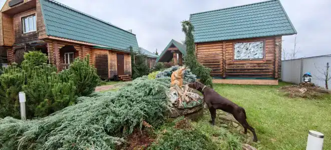 Lukomorye Tourist base - 50