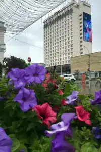 Business Continent - 25