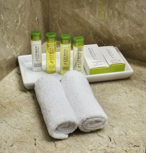 DoubleTree by Hilton Istanbul-Avcilar - 31