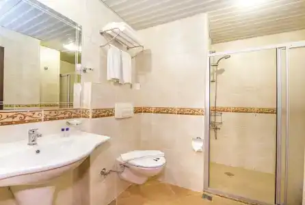 Kleopatra Royal Palm - 29