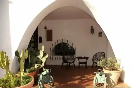 Don Pedro - 7