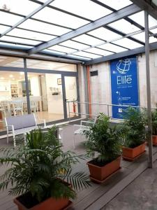 Elite - 4