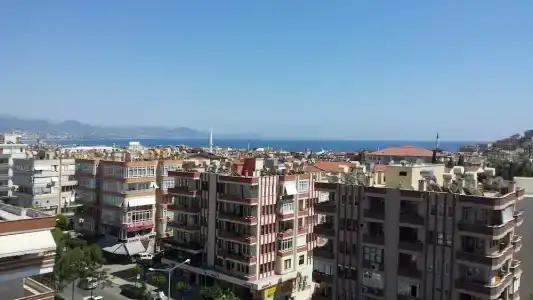 May Flower Apart - 21