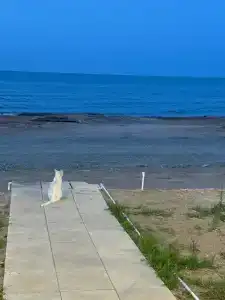 Khalachi Apart-hotel - 17