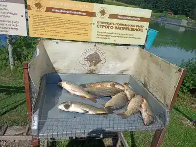 Ulovo Recreation Center - 65