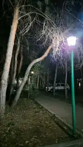 Zhibek Zholy - 11