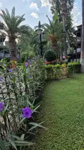 Sailor's Beach Club - 84