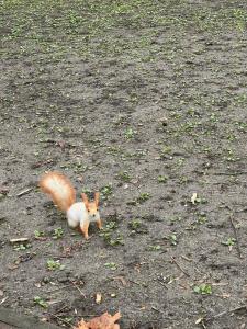 Парк-Замковый - 41