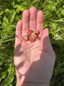 ZaGrad Tourist base - 40