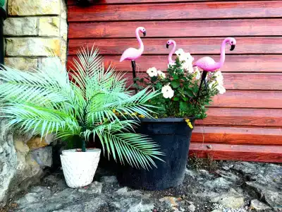 Anna Guest House - 35