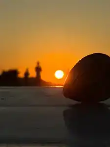 Лотос Пересыпь - 31