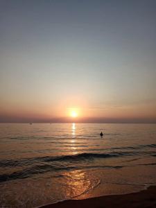 Hedef Kleopatra Golden Sun - 24