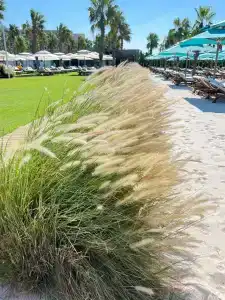 Regnum Carya - All Inclusive - 35