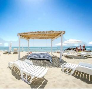 Sunny Fort Apartment - 52