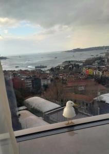 Conrad Bosphorus - 94