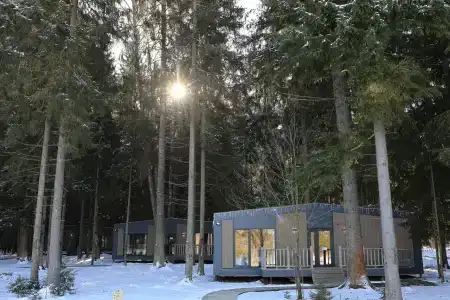 Neshalashi Lesnoy - 11