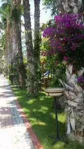 Gardenia Beach - All Inclusive - 10