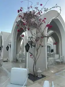 Steigenberger Alcazar - 40