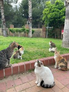 Xperia Grand Bali - All Inclusive - 30