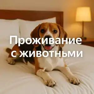 Sochi Galereya Park - 4