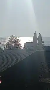 Кардинал - 91