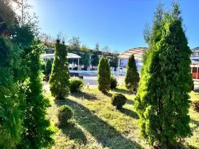 Uralskie Samotsvetyi - 6