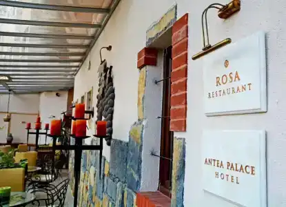 Antea Palace & Spa - 33