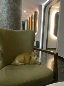 Sette Serenity - Adults Only - 38