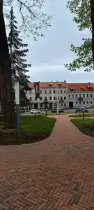 The Basilian Minsk, Curio Collection By Hilton - 43