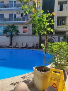 Кардинал - 63