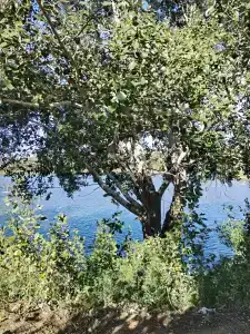 Seventh Heaven Tourist base - 10