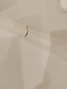 LeoHotels na Dubrovskoy - 42