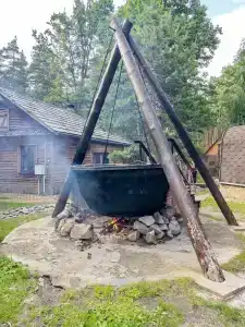Березка - 96