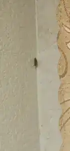 Smart Kdo Barnaul - 18