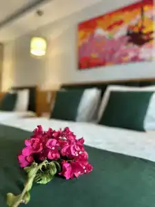 Mogons Exclusive - 25