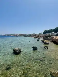 Royal Monte Carlo Sharm El Sheikh - Adults only - 50