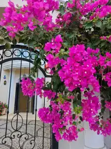 Crystal de Luxe Resort & Spa - All Inclusive - 36