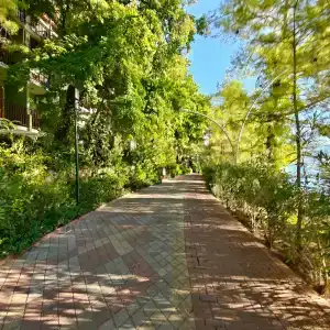 Orka Lotus Beach - 11