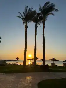 Sunrise Alma Bay Resort - 66