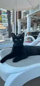 Linda Sunny Beach & Spa-Ultra All Inclusive - 25