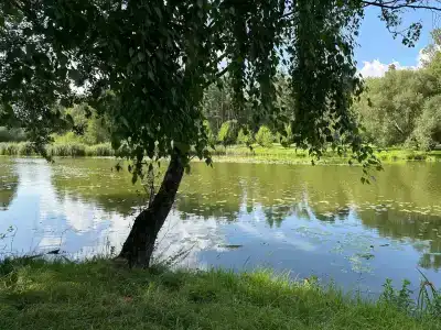 Виктория Олимп и бизнес-центр Минск - 76