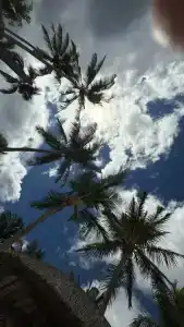 La Pirogue Mauritius - 42