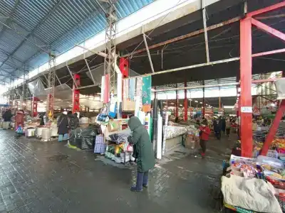 Orion - 13