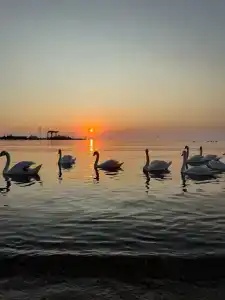 Otel Gorod Mira  Resort & Spa Miracleon 5 - 9