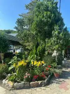 Sibiryachka - 43