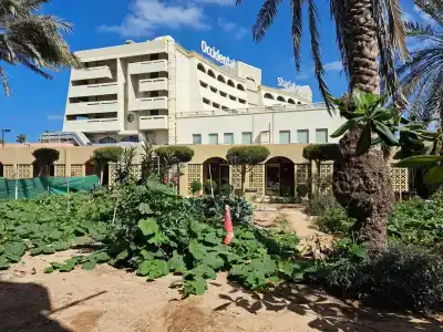 Occidental Sharjah Grand - 94
